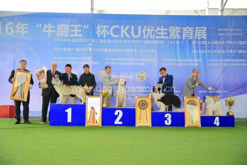 爱游戏官方- 斯图加特青年队斩获全国冠军，青训体系收获丰硕成果  